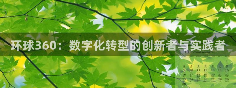 壹号娱乐体育1招商：环球360：数字化转型的创新者与实践者