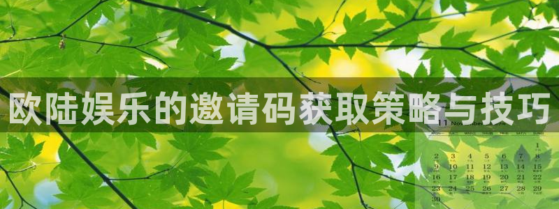 壹号娱乐3平台注册：欧陆娱乐的邀请码获取策略与技巧