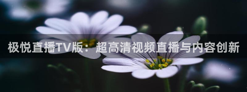 壹号娱乐体育和杏耀是哪个公司的：极悦直播TV版：超高清视频直播与内容创新
