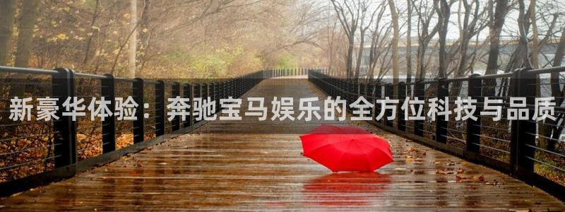 壹号娱乐主管：新豪华体验：奔驰宝马娱乐的全方位科技与品质