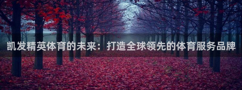 壹号娱乐体育注册：凯发精英体育的未来：打造全球领先的体育服务品牌