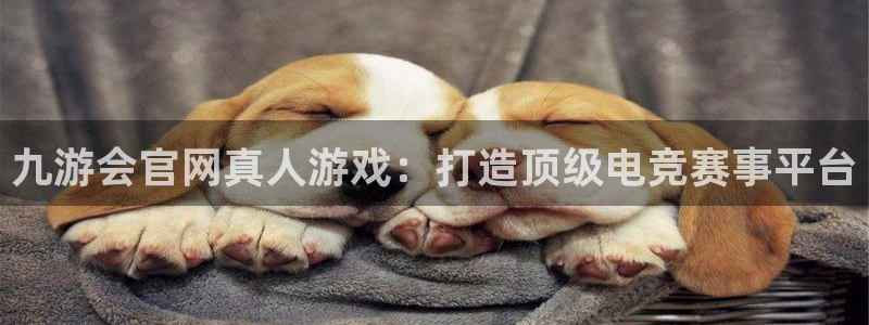 壹号娱乐平台官网：九游会官网真人游戏：打造顶级电竞赛事平台