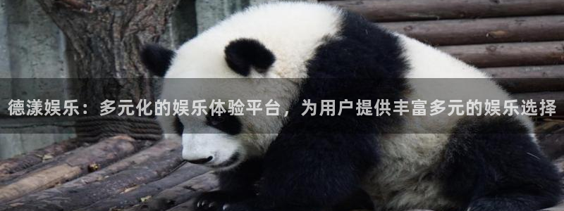 壹号娱乐体育注册平台：德漾娱乐：多元化的娱乐体验平台，为用户提供丰富多元的娱乐选