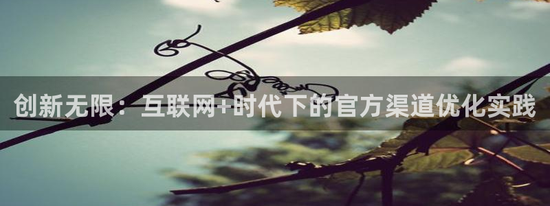 佛山市南海壹号娱乐机电仪器有限公司：创新无限：互联网+时代下的官方渠道优化实践