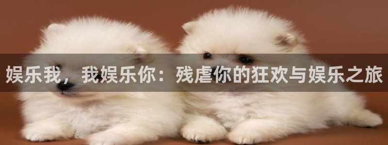 壹号娱乐体育官网注册：娱乐我，我娱乐你：残虐你的狂欢与娱乐之旅