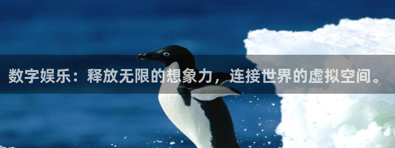 壹号娱乐体育注册：数字娱乐：释放无限的想象力，连接世界的虚拟空间。