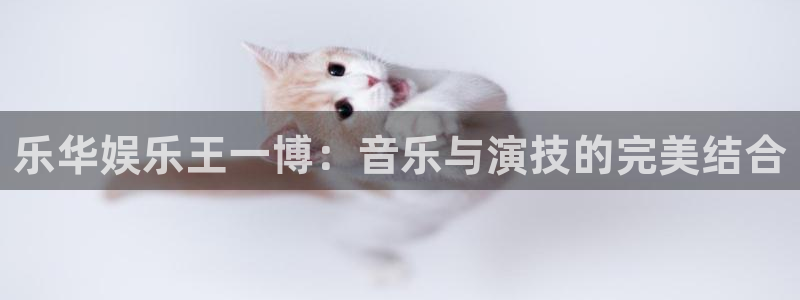 壹号娱乐3官网