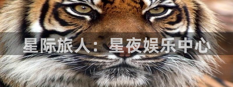 壹号娱乐3官网登录：星际旅人：星夜娱乐中心