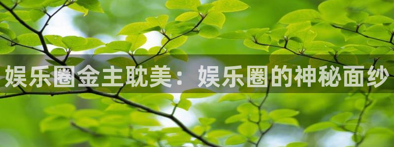 壹号娱乐体育官网注册：娱乐圈金主耽美：娱乐圈的神秘面纱