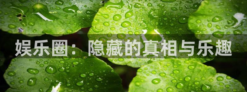 壹号娱乐f平台注册：娱乐圈：隐藏的真相与乐趣