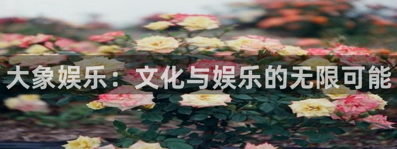 壹号娱乐体育免费注册入口：大象娱乐：文化与娱乐的无限可能
