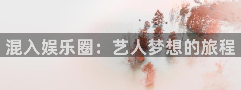 佛山市南海壹号娱乐机电仪器有限公司：混入娱乐圈：艺人梦想的旅程