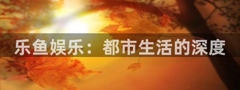 壹号娱乐体育游戏：乐鱼娱乐：都市生活的深度