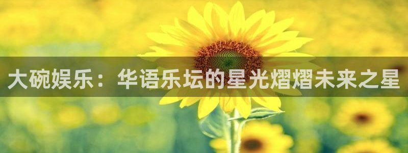 壹号娱乐3注册：大碗娱乐：华语乐坛的星光熠熠未来之星